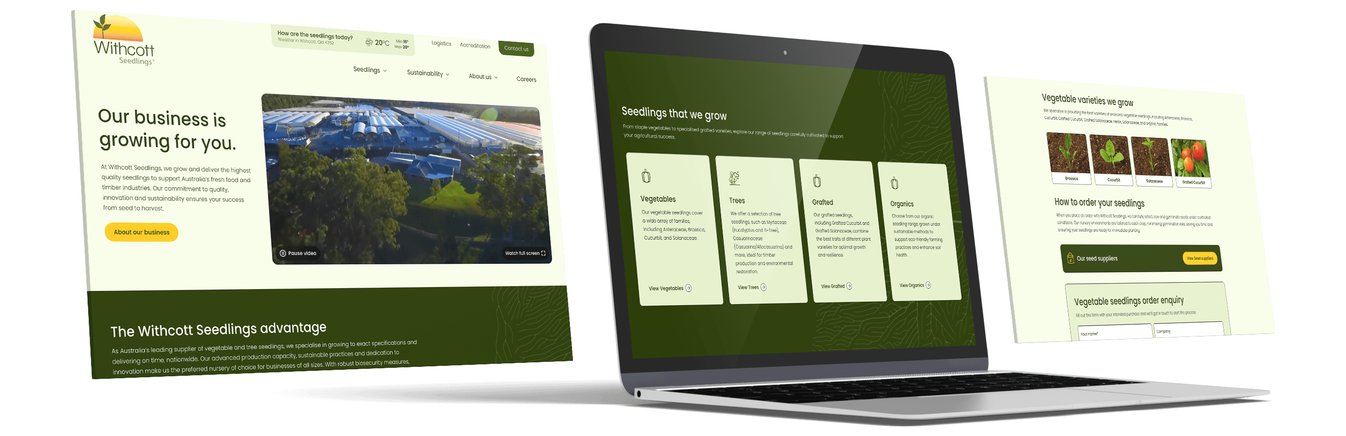 Mockup of the Withcott Seedlings website on multiple laptop screens