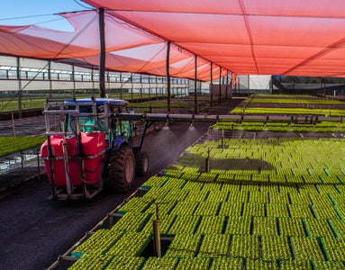 Tractor spraying a large crop of seedlings
